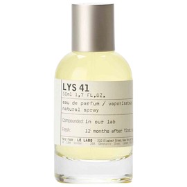 Lys 41