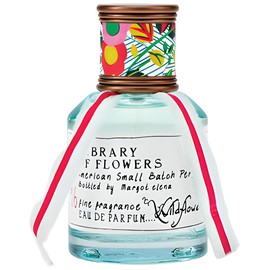 Wildflower & Fern