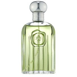 perfume Giorgio for Men