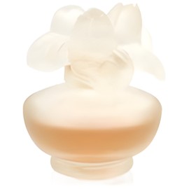 perfume Rose Nuage