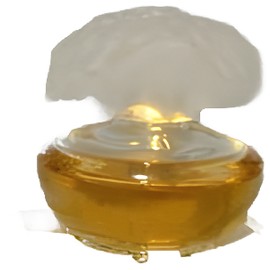 perfume Orange Sahara