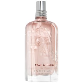 Fleurs De Cerisier
