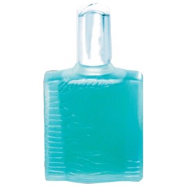 perfume Sudrabotais Ledus