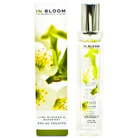 Lime Blossom and Bergamot