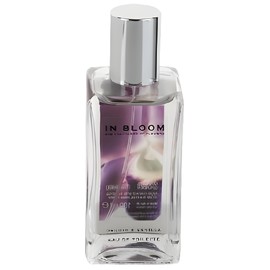 perfume Orchid and Vanilla