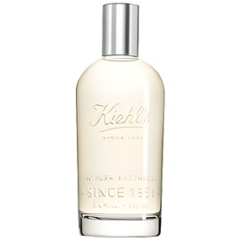 perfume Aromatic Blends: Patchouli & Fresh Rose