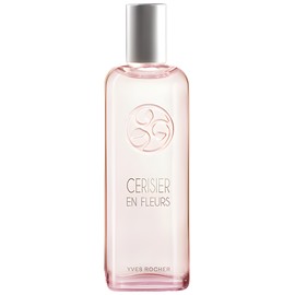 Cerisier en Fleurs