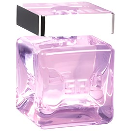 perfume Belle en Rykiel Eau de Toillete