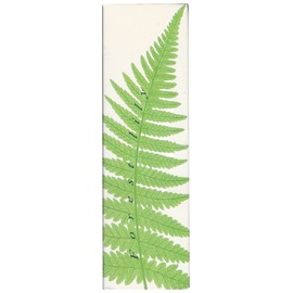 Forest Lily
