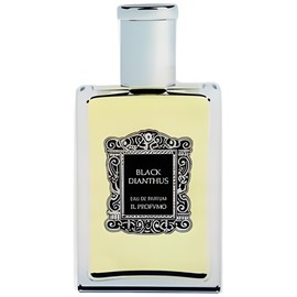 perfume Black Dianthus