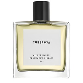 Tuberosa