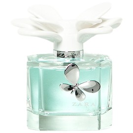 perfume Zara Woman L'Eau