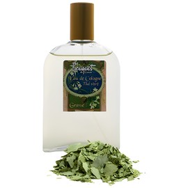 perfume Eau de Cologne The Vert
