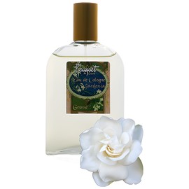 perfume Eau de Cologne Gardenia