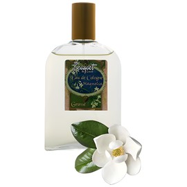 perfume Eau de Cologne Magnolia