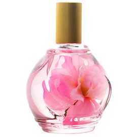 perfume Parfum d'Ambiance Rose