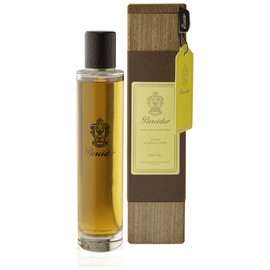 perfume Oud Assoluto