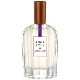 perfume Acqua Lotus