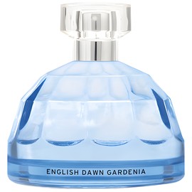 English Dawn White Gardenia