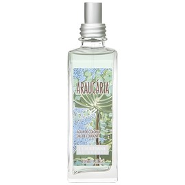 perfume Araucária