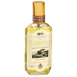 perfume Aguas de Verao Cavalheiros