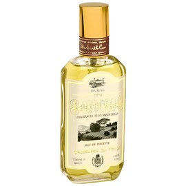 perfume Aguas de Verao Damas