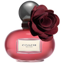 perfume Poppy Wild Flower