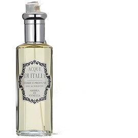 perfume Ambra di Venezia