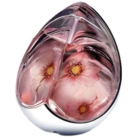 perfume Kingdom Limited Edition 2004