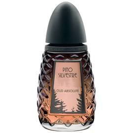 perfume Oud Absolute