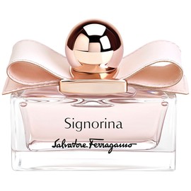 Signorina Leather Edition