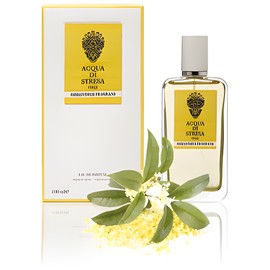 Osmanthus Fragrans
