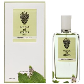 Mentha Citrata