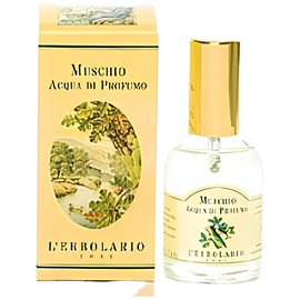 Muschio