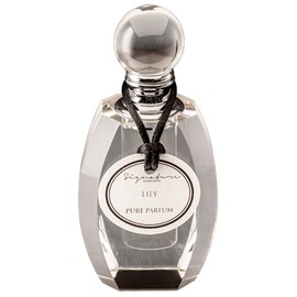 perfume Lily