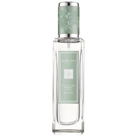 Rock The Ages Lily of the Valley & Ivy