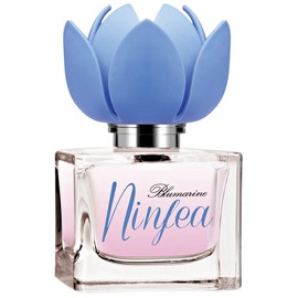 Ninfea