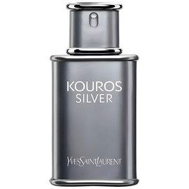 Yves Saint Laurent Kouros Silver
