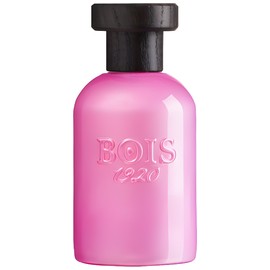 perfume Rosa di Filare