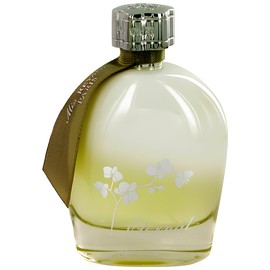 perfume Miss Reyane Eternal