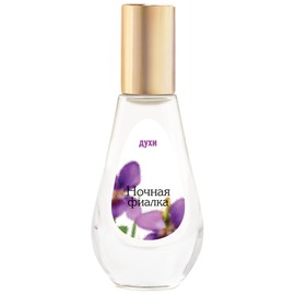 perfume Nochnaya Fialka