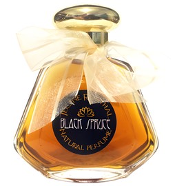 Black Spruce