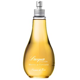 perfume Manhas de Primavera