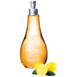 perfume Citrus