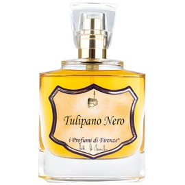 Tulipano Nero