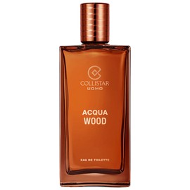 perfume Acqua Wood