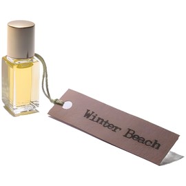 Winter Beach