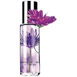 perfume Passionate Purple