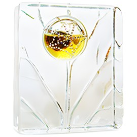 perfume Quand Vient La Pluie Extrait de Parfum