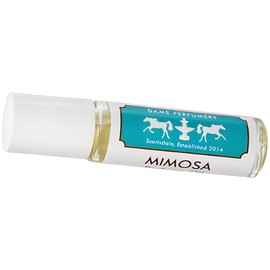 Soliflore Mimosa